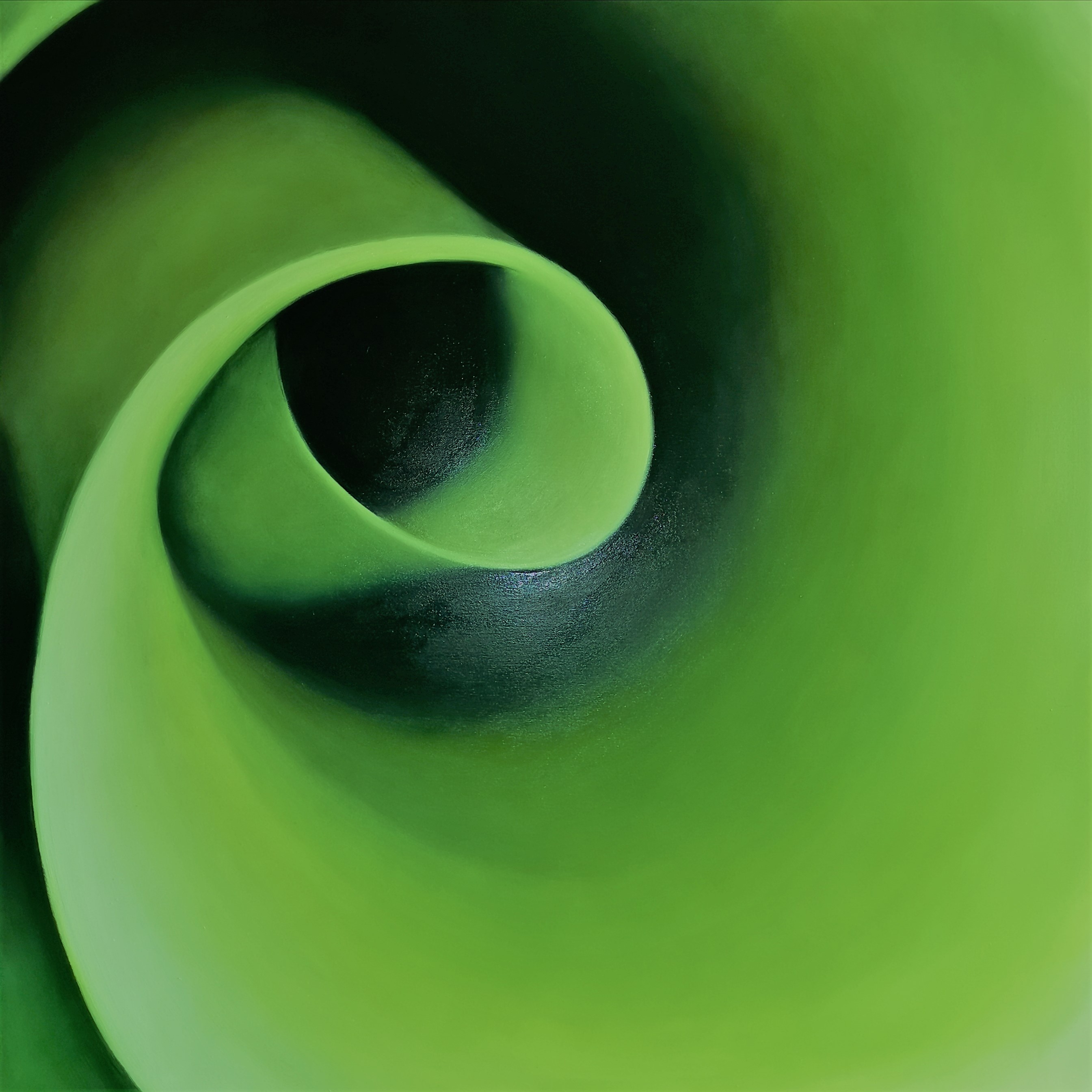 Spira Mirabilis